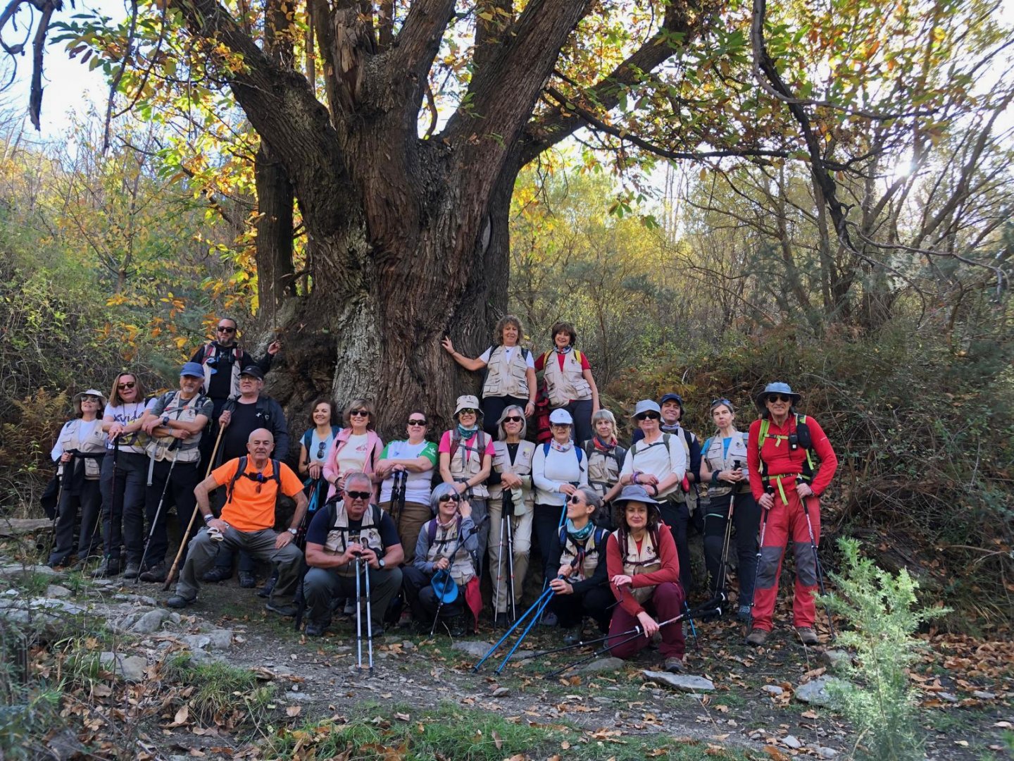 <p>FOTO DE GRUPO JUNTO AL CASTAÑO CENTENARIO</p>